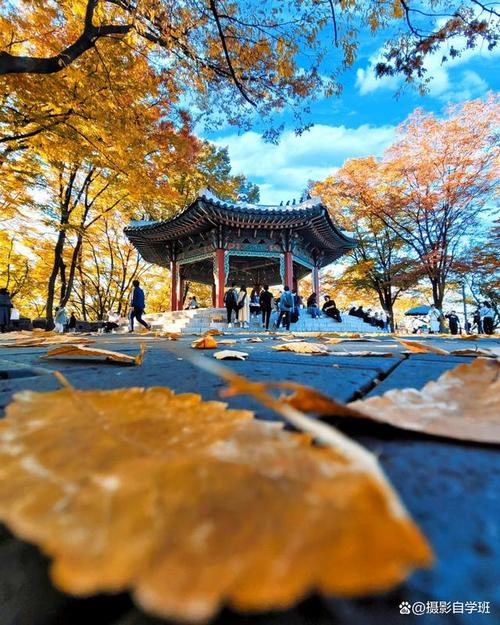 拍视频用什么手机清晰度最好图2