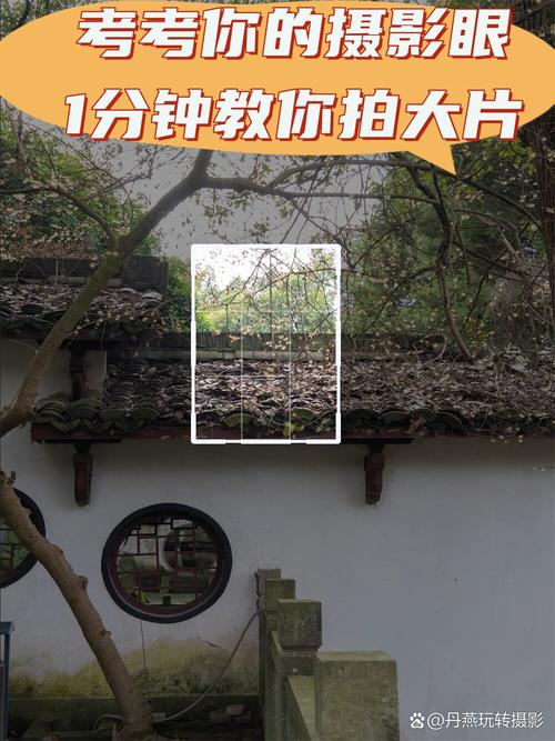 免费拍照计数软件有哪些好用图1