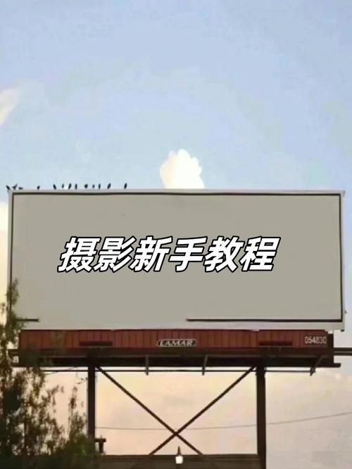 一拍照就能算出数的软件