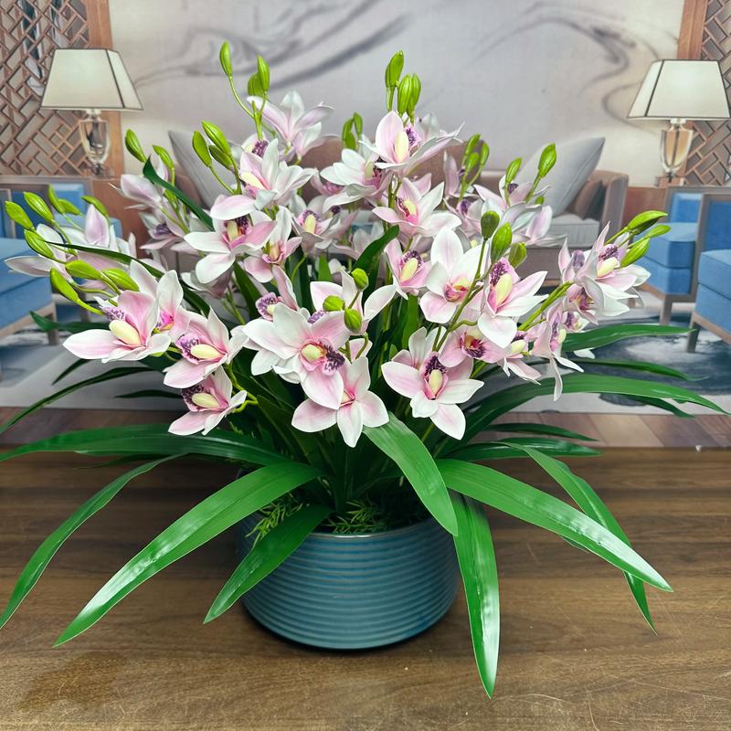 手机如何拍花草图1