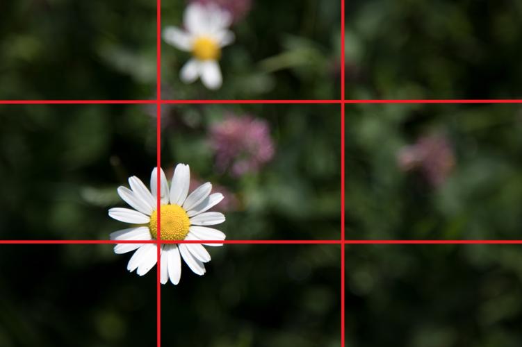 拍照时构图技巧图1