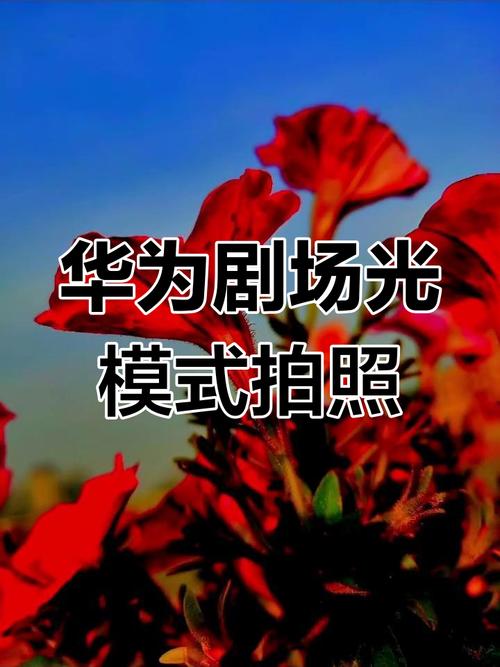 投影仪用来做摄影背景图2