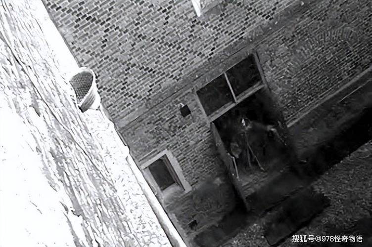 十大拍照姿势及解读图2