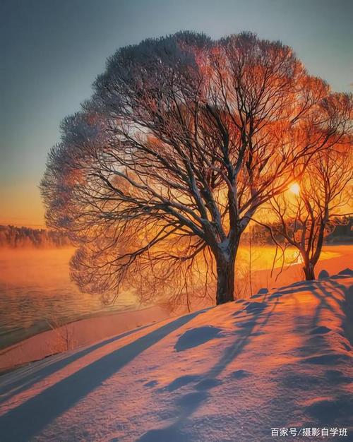 手机怎么拍摄风景好看图2