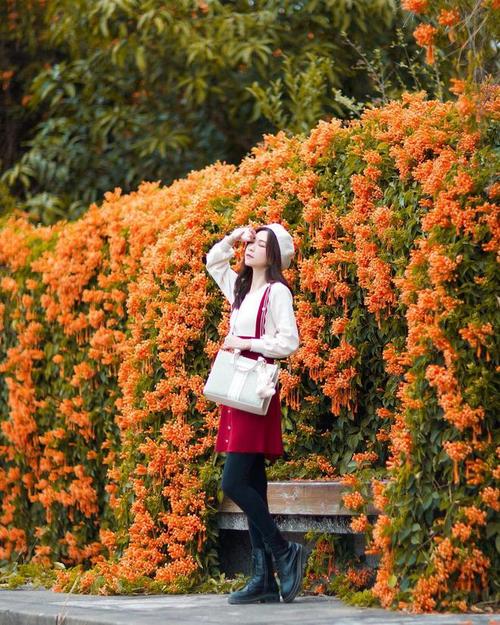 拍风景照怎么摆姿势好看图2