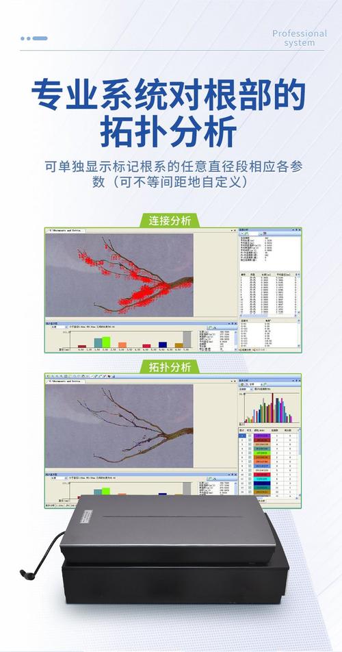 根系分析软件操作过程图3