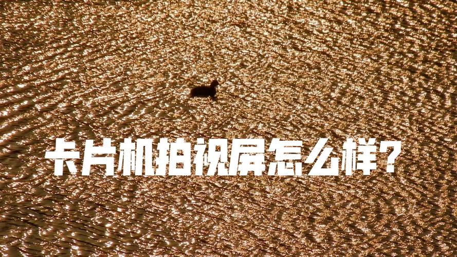 尼康s8100翻拍老照片怎么避免反光?