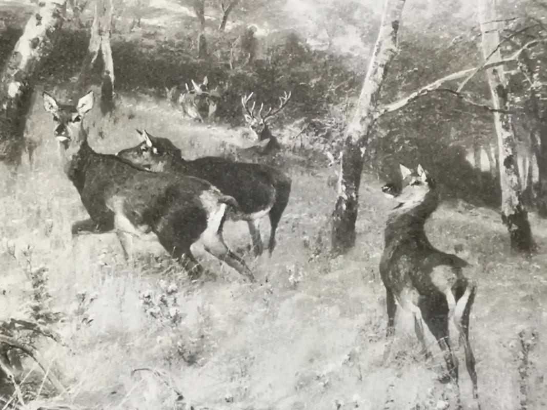 打光方式有哪些图1