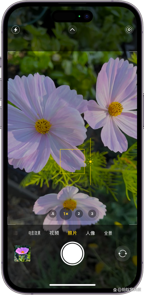 手机拍照用什么软件拍照比较好的效果