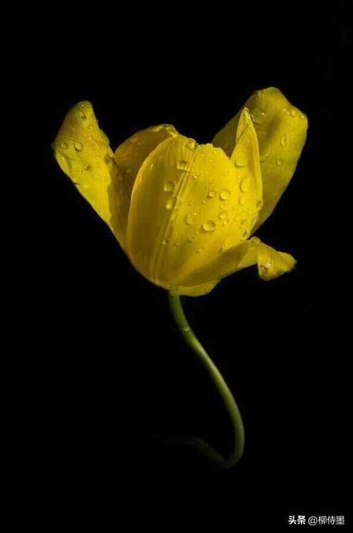 手机怎么拍出黑色背景照片