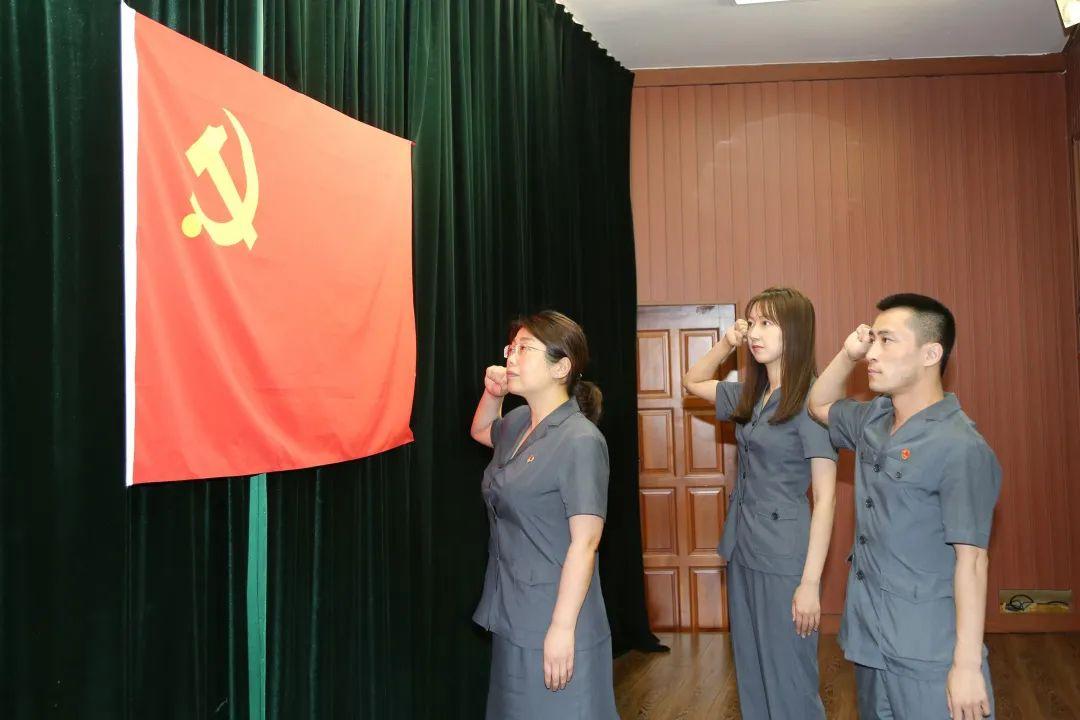 宣誓正确姿势图片视频图3