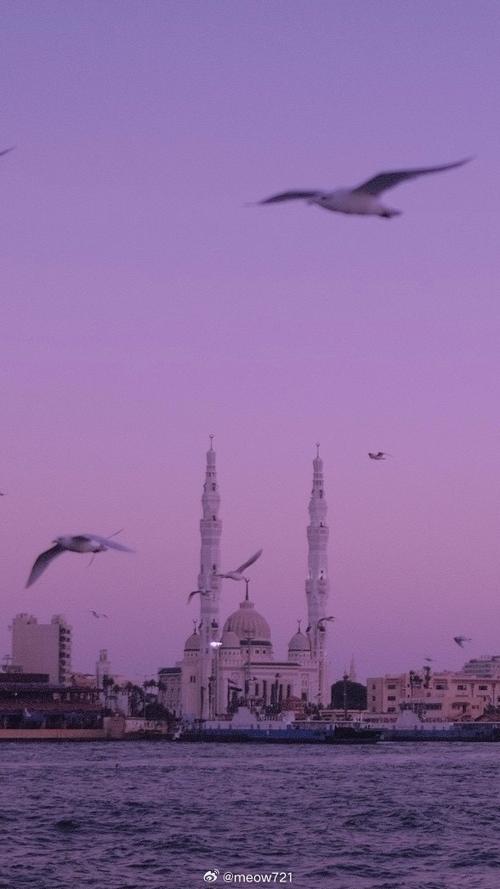 紫色灯光效果图图3