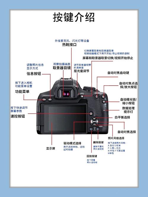 相机拍照的基本操作图1