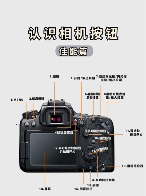 相机拍照的基本操作图3