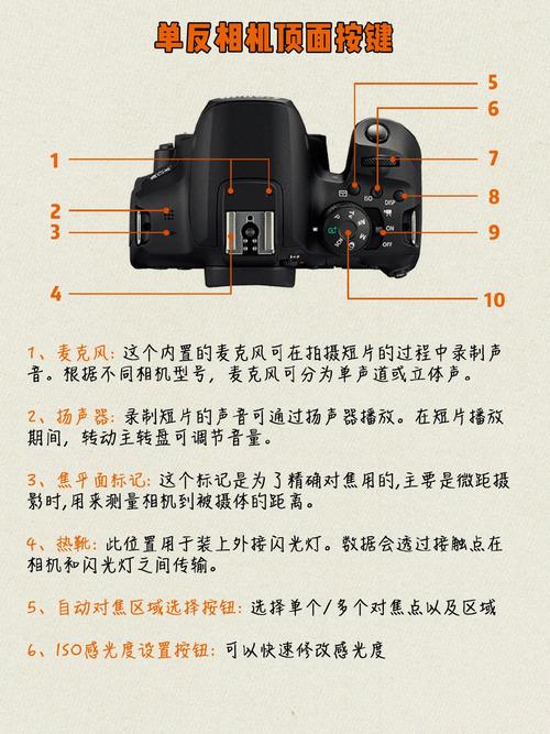 单反相机照相按哪个键