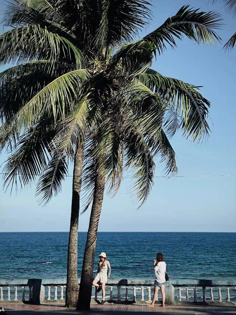 手机拍手机照片如何不反光呢图1