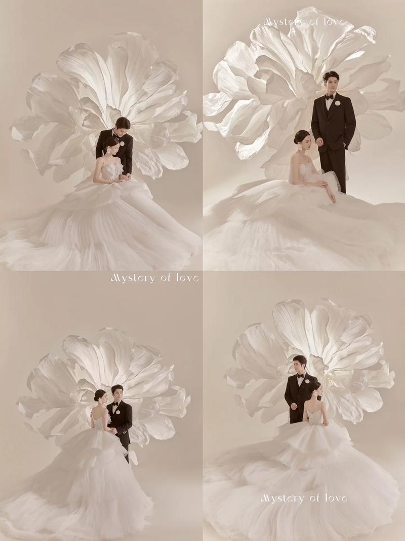 拍照氛围图片纯色背景图3