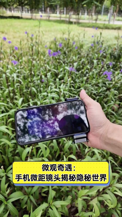 手机拍摄视频的技巧和方法图1