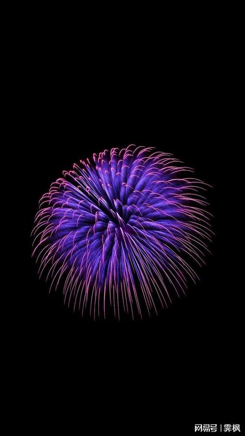 手机拍花的技巧图1