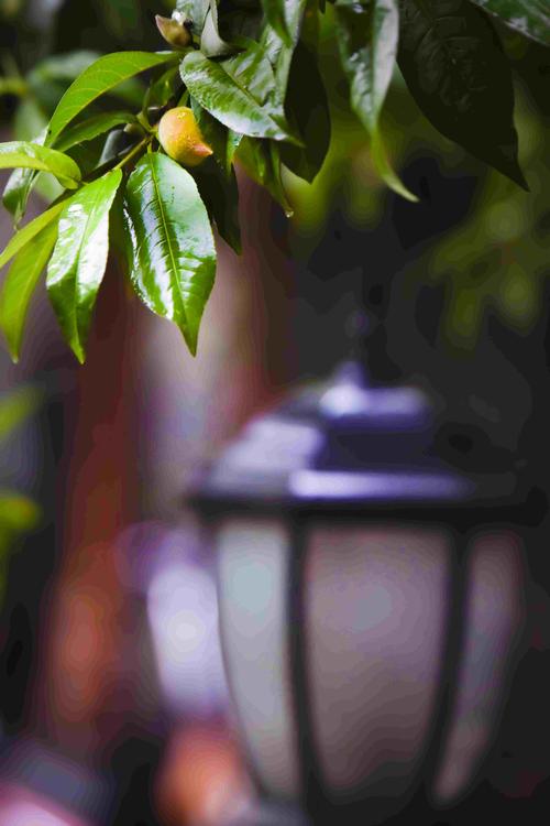 纯色背景拍照图3