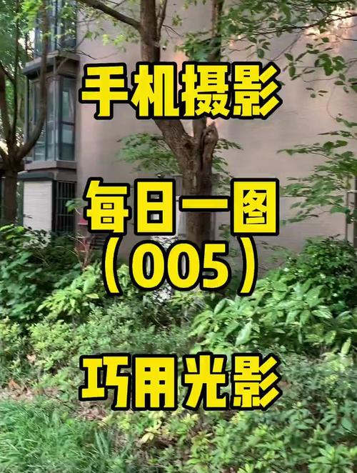 怎样找回手机照相机图1