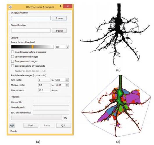植物表型:根冠表型分析系统的检测项目以及应用