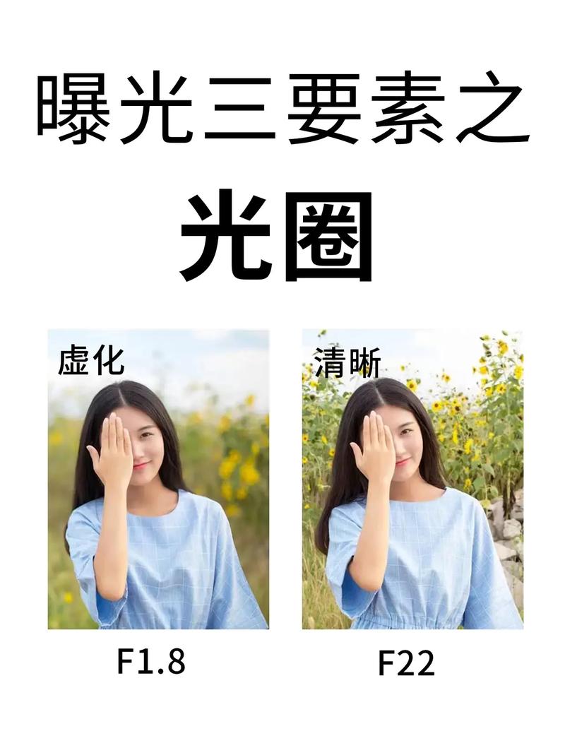 照相打光和不打光区别图2