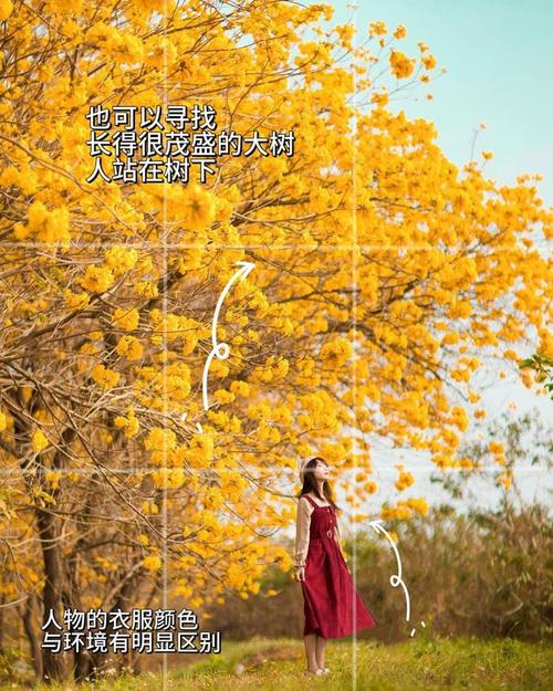 人物风景拍照构图技巧图2