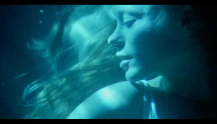 野花手机拍照视频软件图1