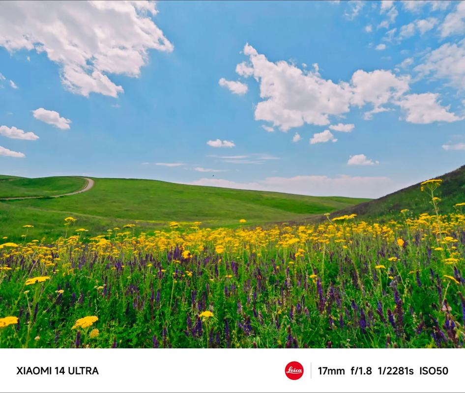 野花谷是什么软件