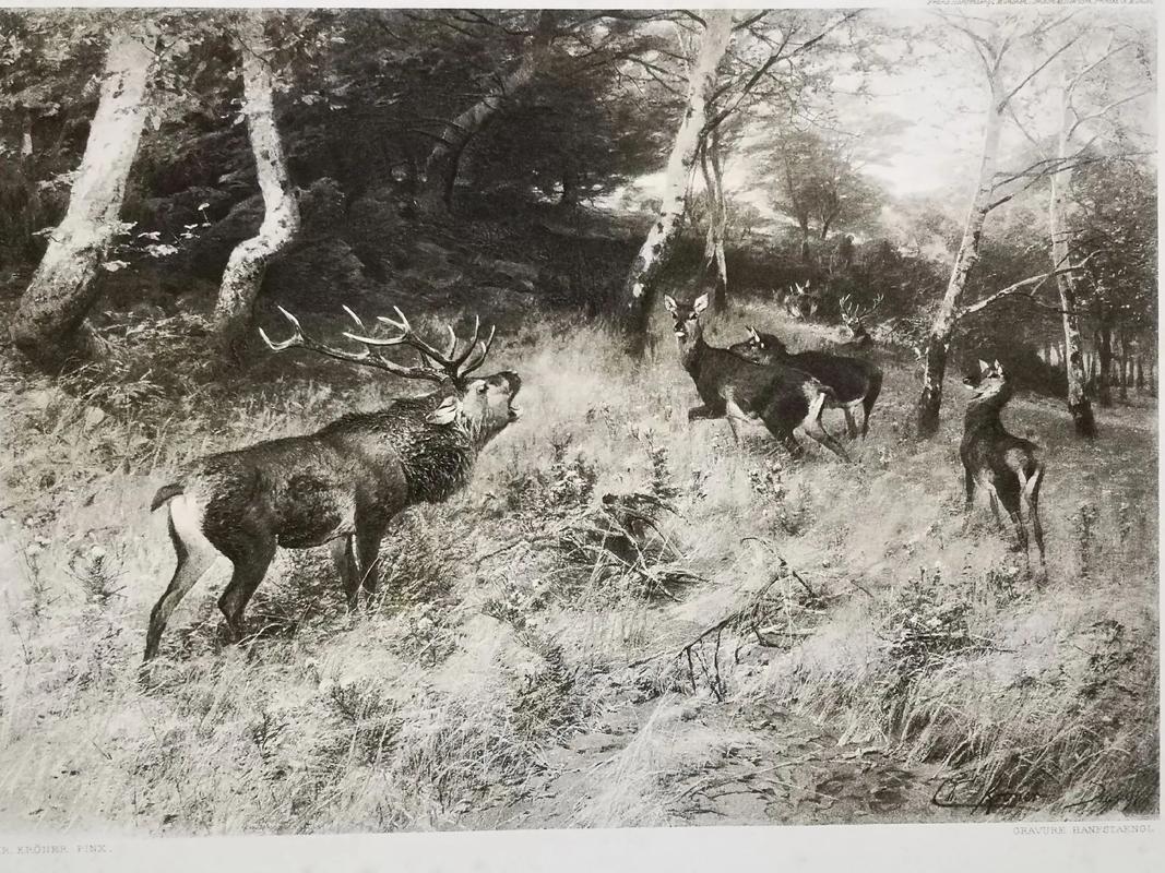 版画有哪几种光线