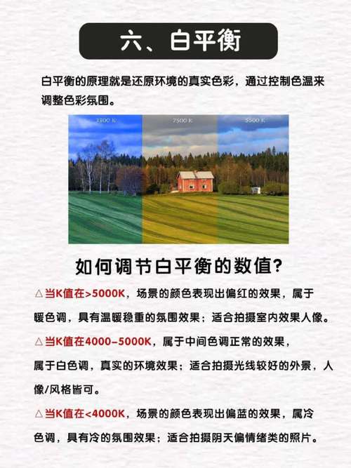 常用人像布光类型图2