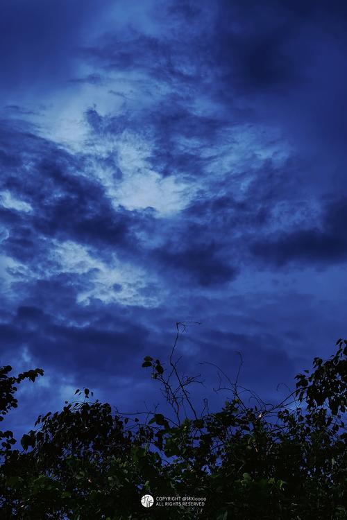 拍照和音效好的手机图2