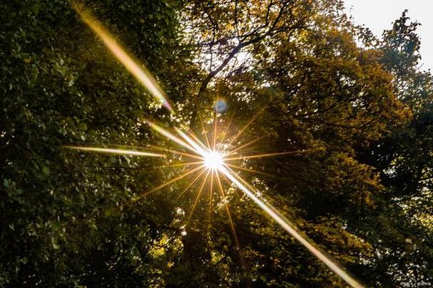 纯色紫色背景图片拍照打光怎么弄图3