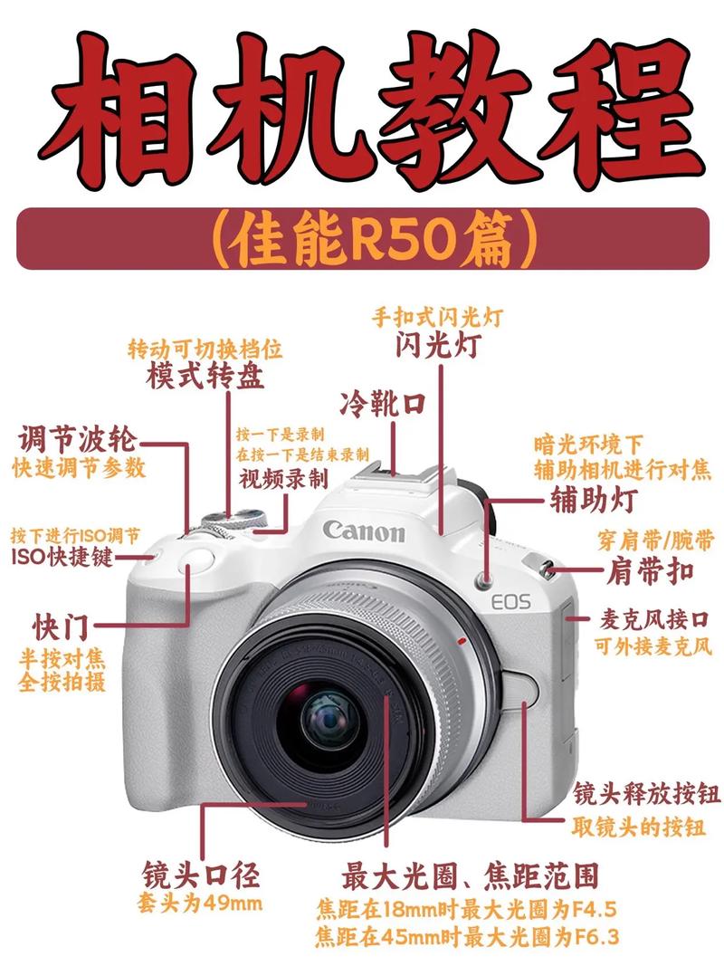 佳能相机背光怎么办啊