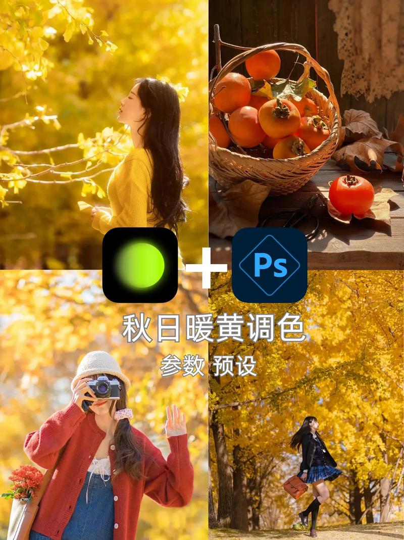 拍照打光图片纯色暖色怎么调图3