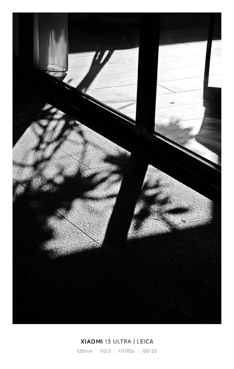 在摄影里``光影是什么意思???