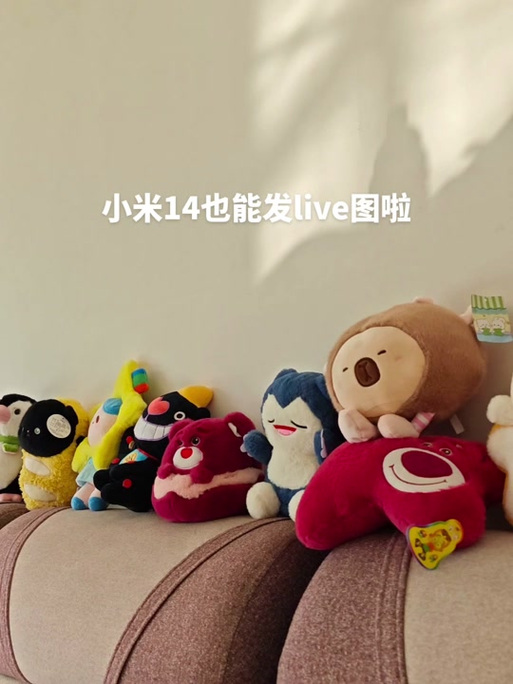 小米14手机摄影拍照攻略图解图3