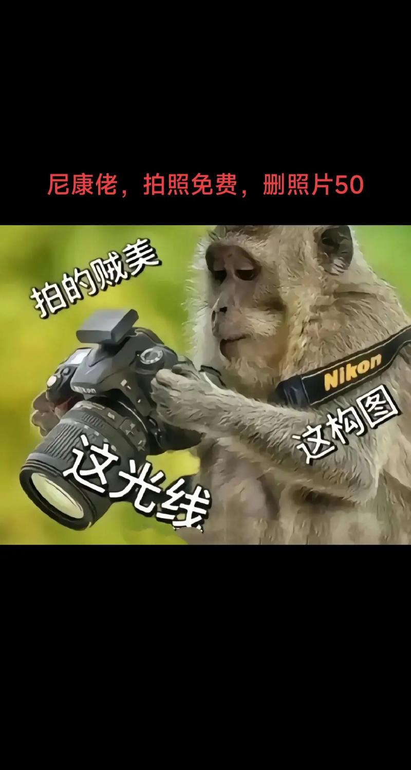 拍视频的软件叫什么图3