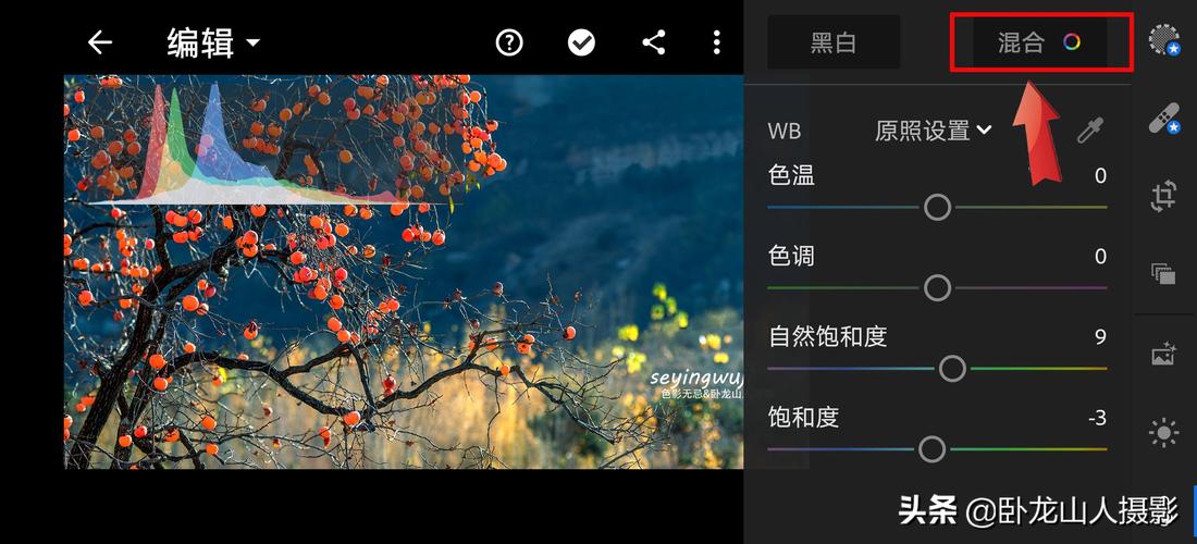 有没有什么高大上的拍照或者p图软件