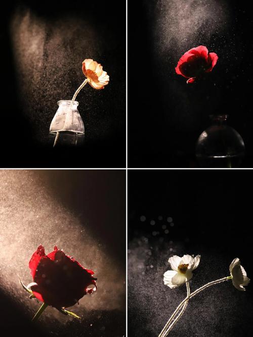 室内拍摄产品(静物)布光用常亮灯还是闪光灯?有什么区别?