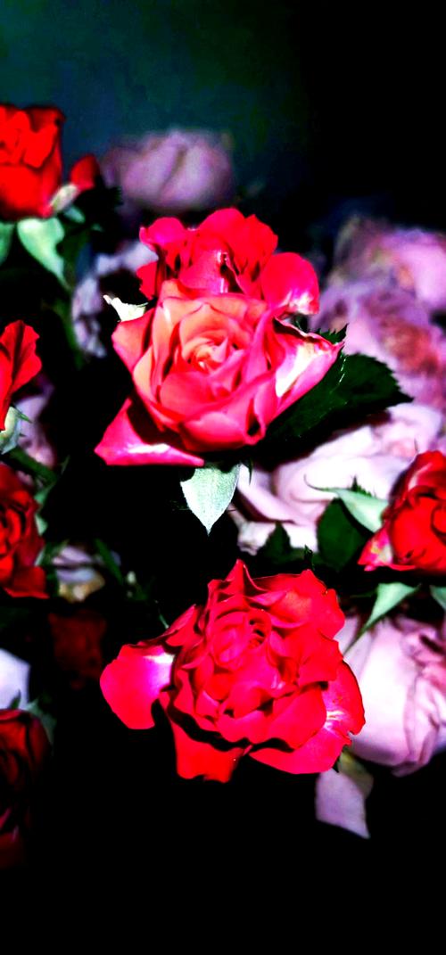 如何将华为手机拍出黑背景的照片?