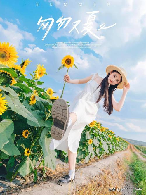 照相的10个动作