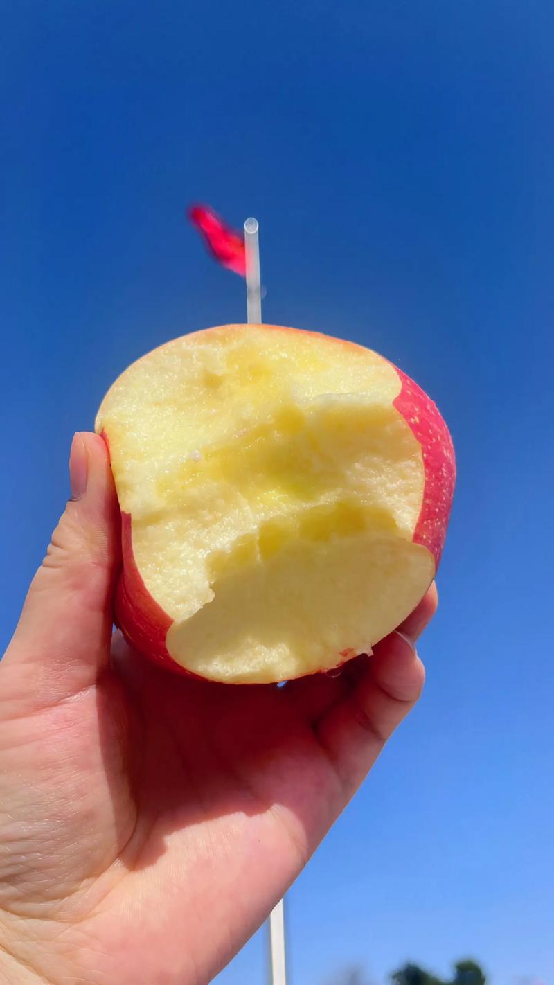 苹果拍照怎么拍出高级感