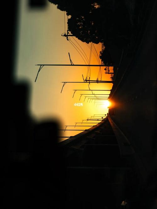 追光的意思是什么