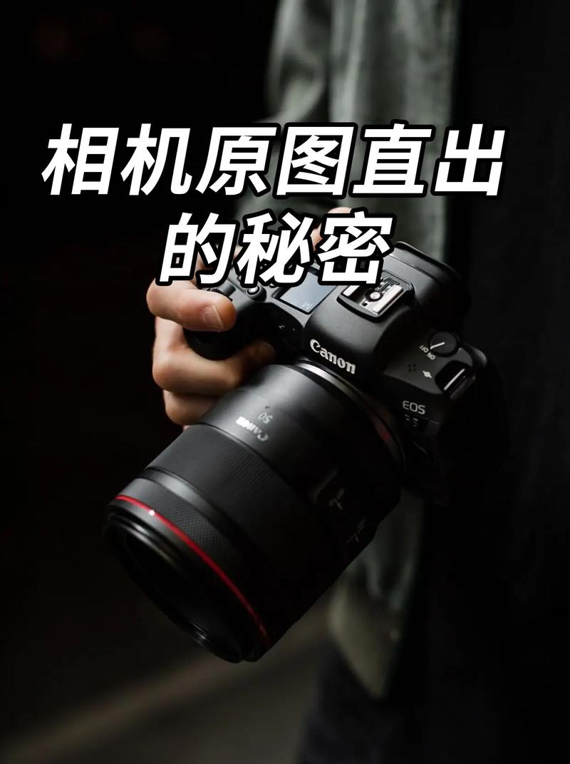 原相机什么意思
