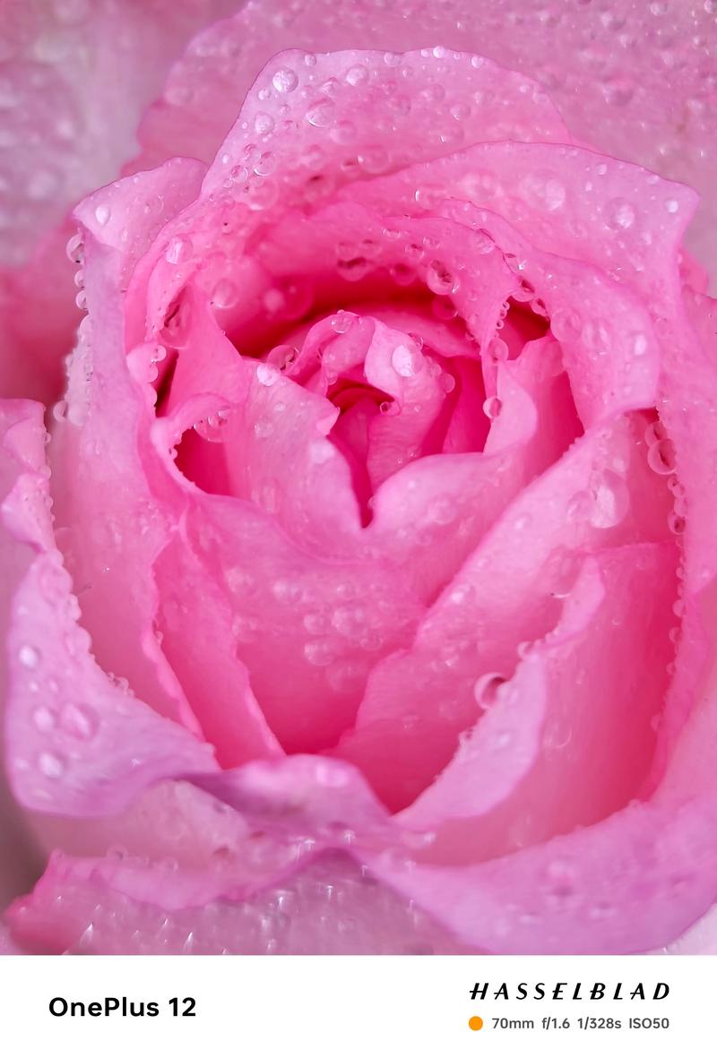 苹果手机照相机左下角的花是什么意思啊?