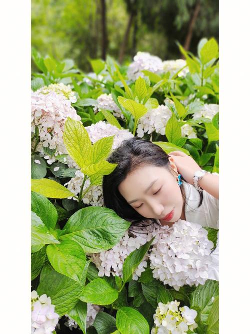 千元手机哪个拍照好