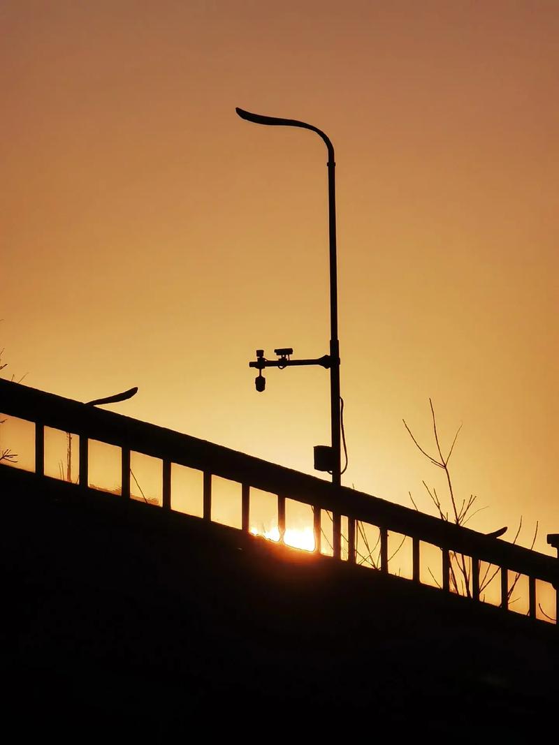 手机拍照片哪个牌子好