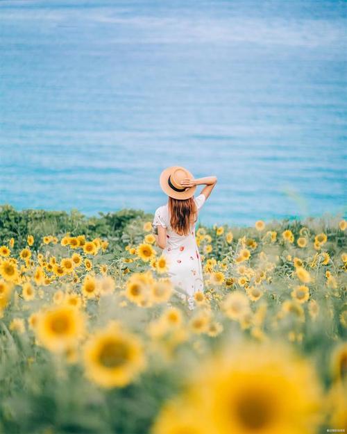 拍背影,有什么拍摄技巧呢?